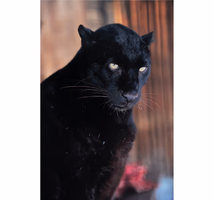 Roleta do obývačky leopardí tichý lovec - Tenstickers