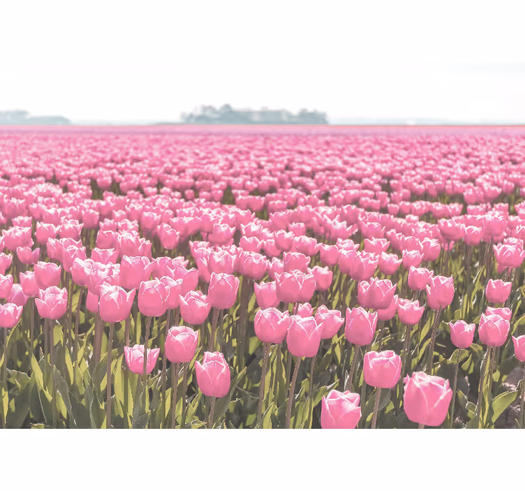 Roleta do obývačky iný ružový tulipánový lán - Tenstickers