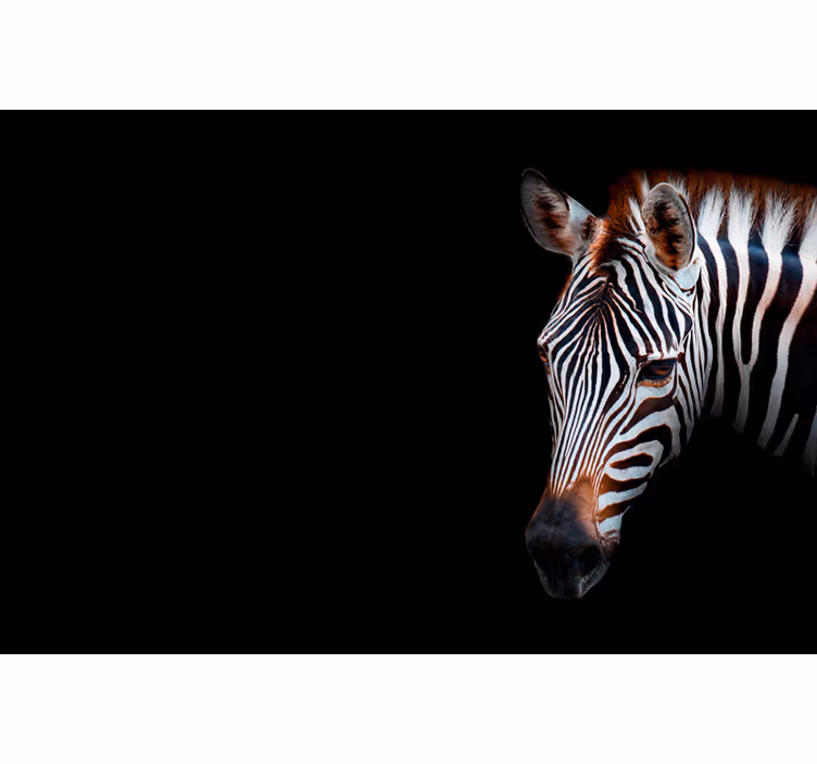 Roleta do obývačky zebra obraz - Tenstickers