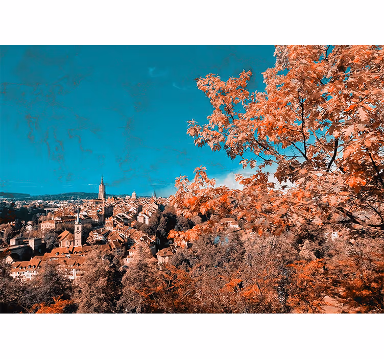Roleta do obývačky stromy s oranžovými jesennými listami - Tenstickers