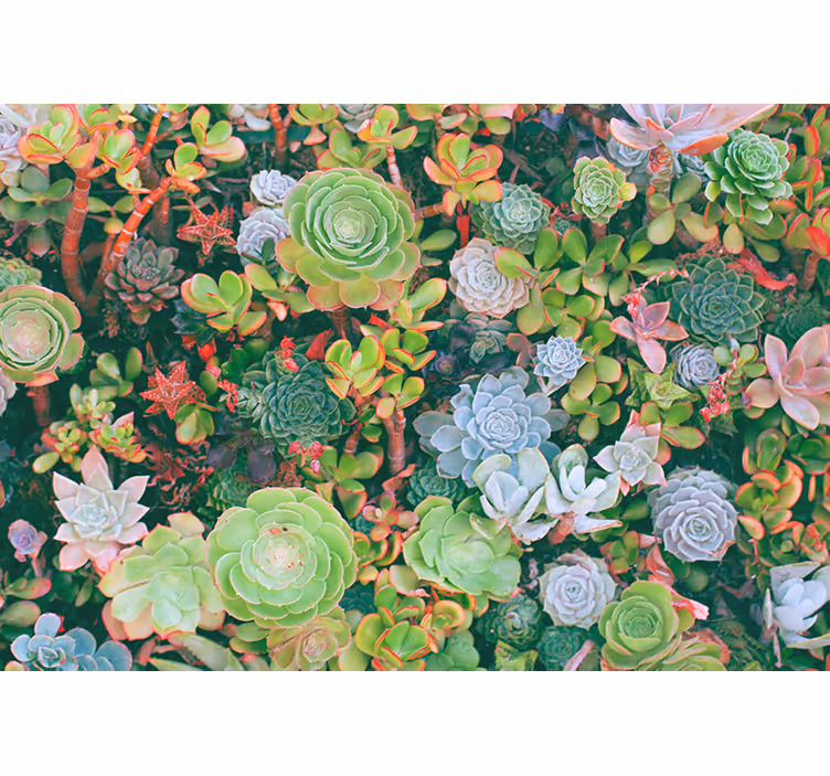 Roleta do izby s multicolor tropickými listami - Tenstickers