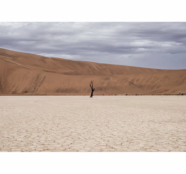 Roleta do izby púštny krajinný dizajn - Tenstickers