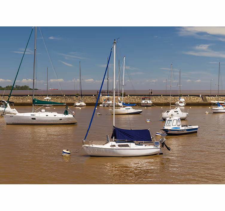 Roleta do izby colonia del sacramento - Tenstickers
