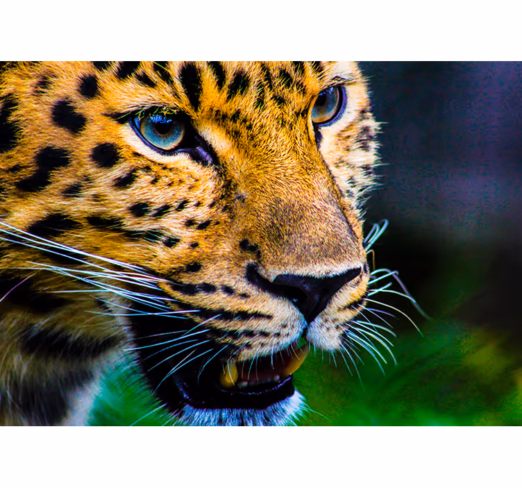 Roleta do izby leopardská tvár - Tenstickers