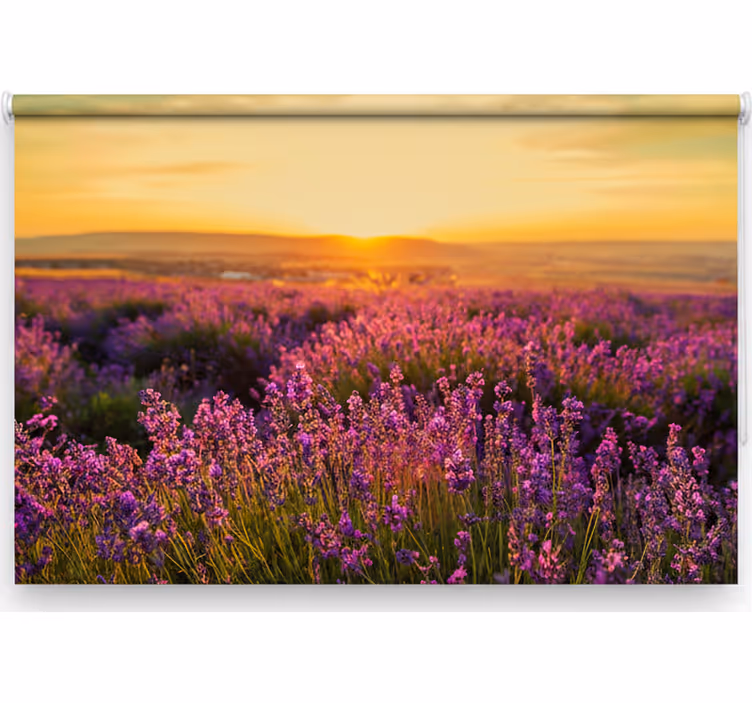 Roleta do izby panoramatická provence - Tenstickers