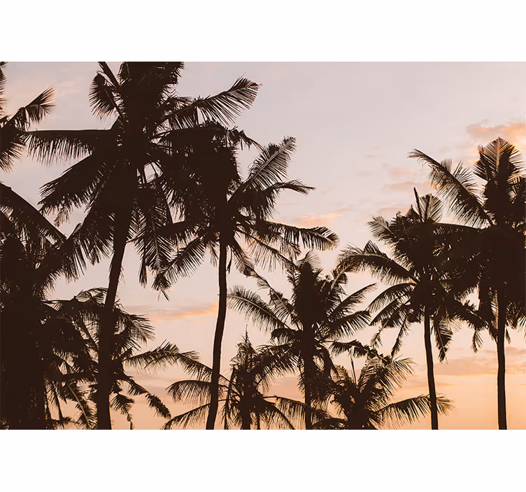 Roleta do izby palm tree pri západe slnka - Tenstickers