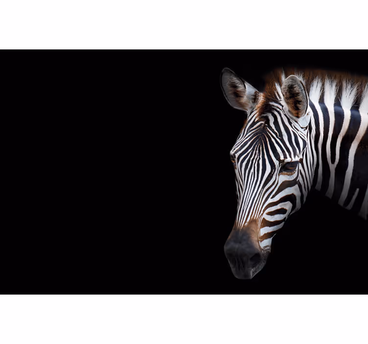 čierna roleta zebra obraz - Tenstickers