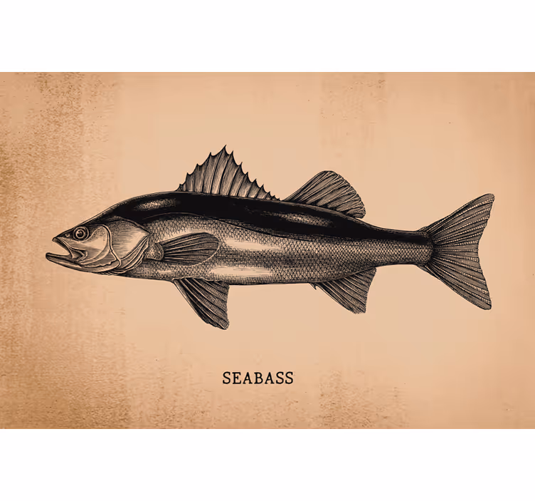 Béžová roleta realisticky ručne kreslený seabass - Tenstickers