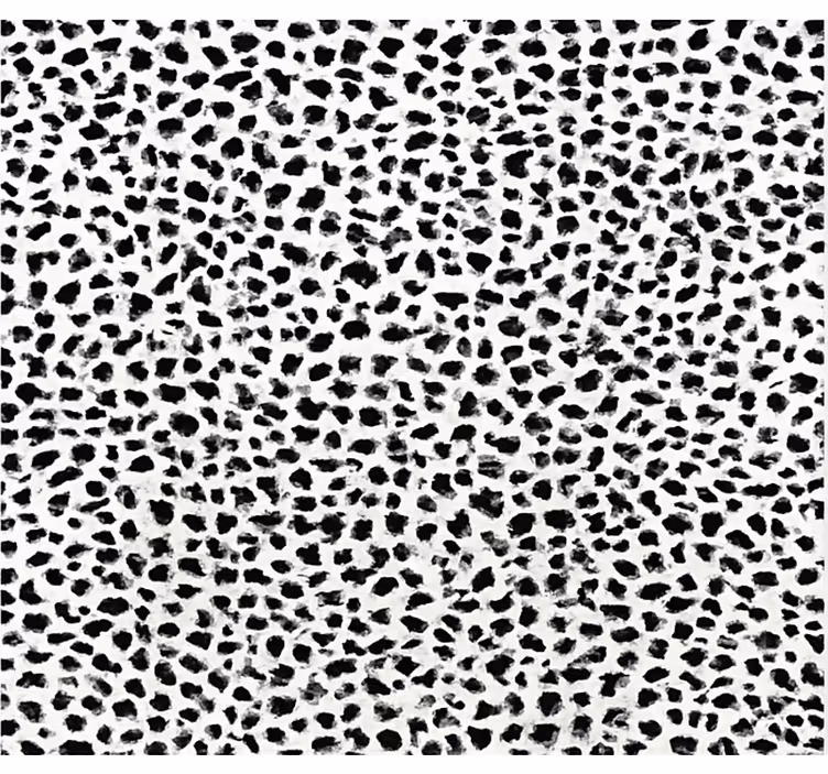 Čierna roleta v monochromatickom leopardom vzore - Tenstickers