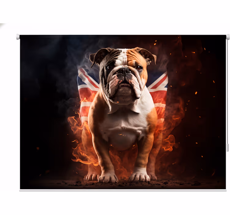 Roleta pre teenagera britský bulldog v plameňoch - Tenstickers