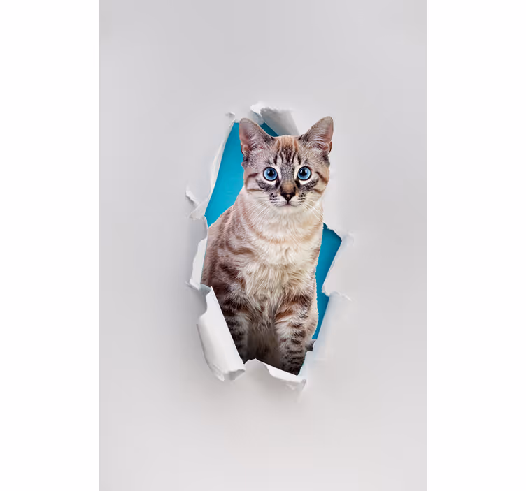 Mačka rôzne zvieracie rolety - Tenstickers