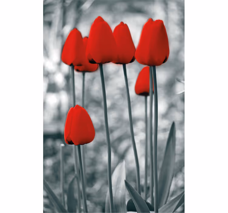 červené tulipány farebná kvetinová slepota - Tenstickers