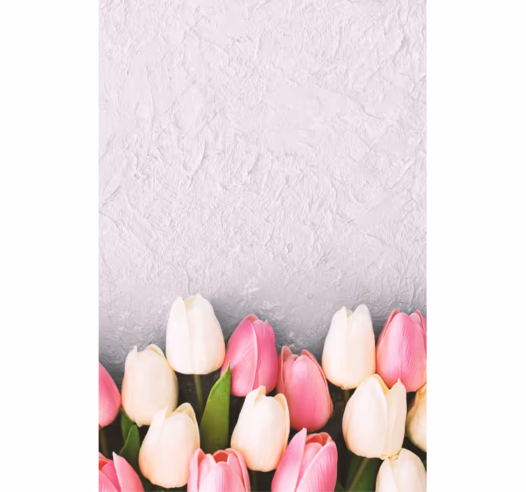 Biele a ružové tulipány kvetinová slepota - Tenstickers