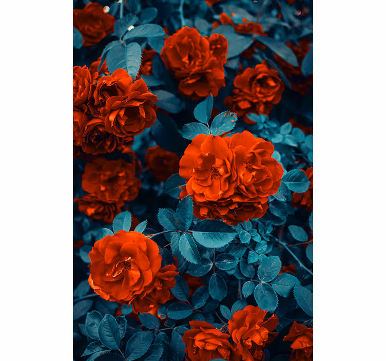 Kvet červeného karafiátu a listy kvetov roletach - Tenstickers