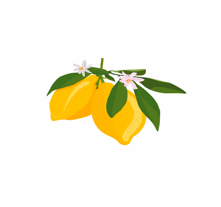 Kvetinové citrónové prestieranie - Tenstickers