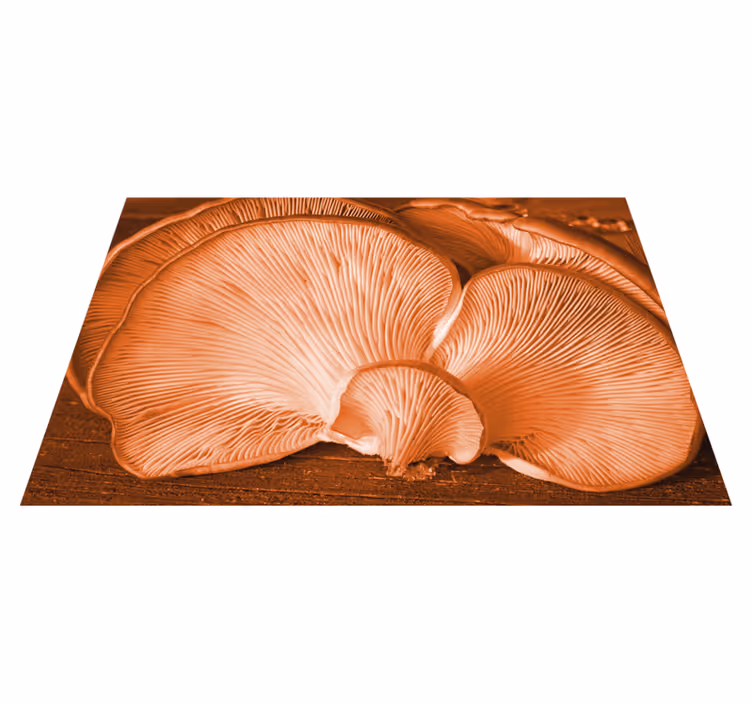 Oranžové lesné huby pod prestieranie - Tenstickers