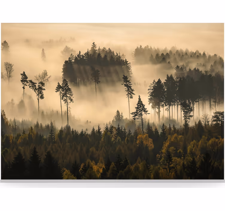 Fototapety na stenu les éterická ranná hmla - Tenstickers