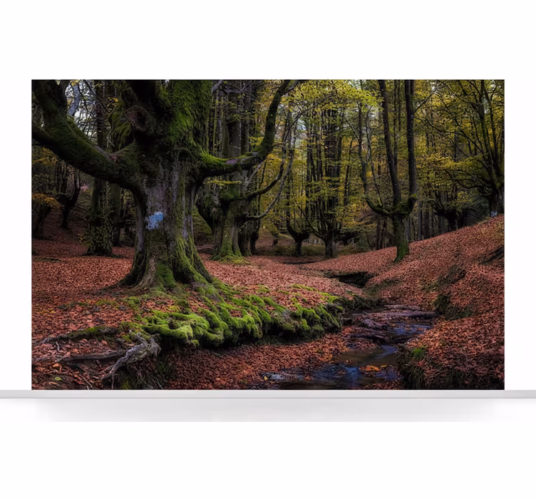 Fototapety na stenu les očarujúci jesenný les - Tenstickers