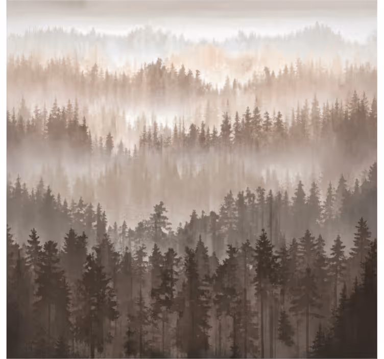Krajinka fototapety drevené lesné vrstvy - Tenstickers