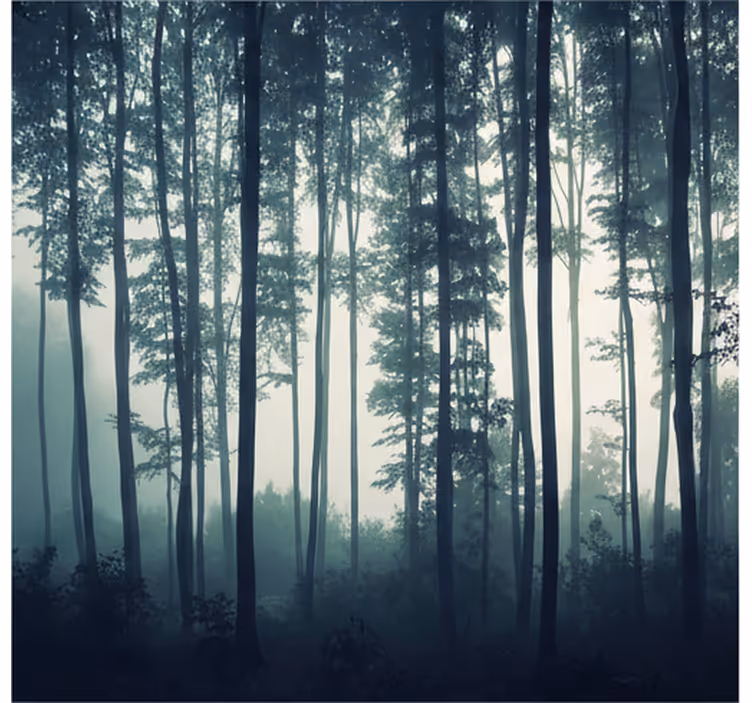 Fototapety na stenu les maľovaný les zen - Tenstickers