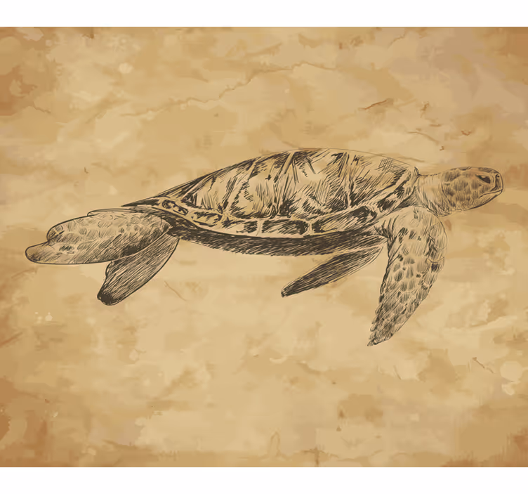 Bežové fototapety s ilustráciou korytnačky - Tenstickers