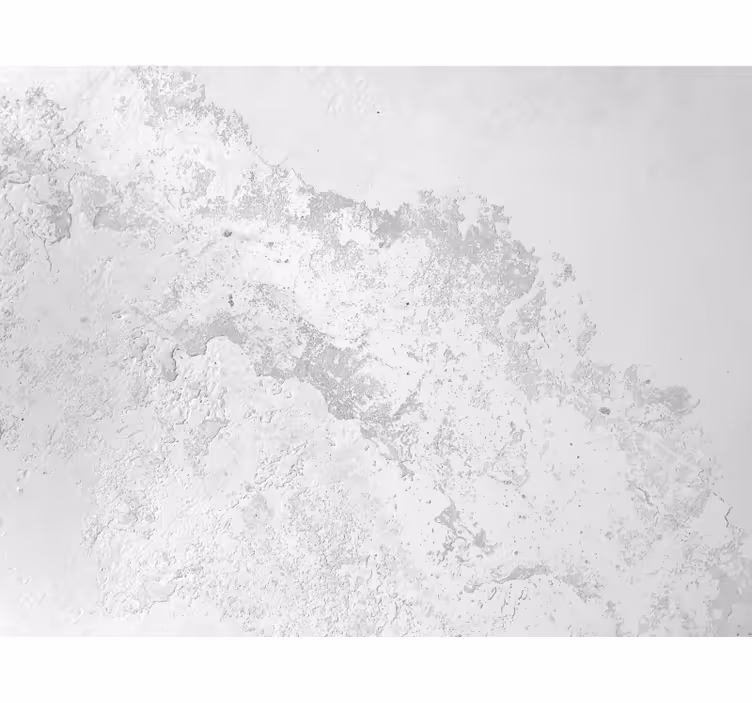 Fototapeta biela šedá pantónová textúra - Tenstickers