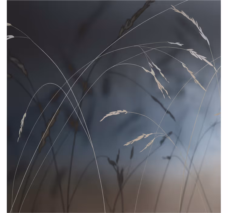 Fototapety na stenu do spálne tmavé elegantné stonky - Tenstickers