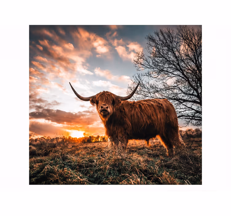 Fototapety na stenu priroda zvieratá - Tenstickers