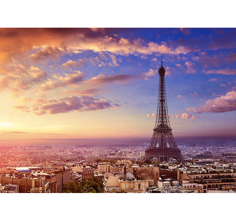 fototapeta paríž parížska panoráma - Tenstickers