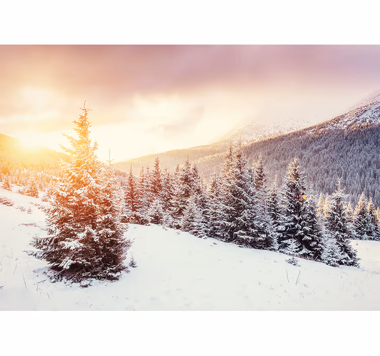 Fototapety na stenu les Ľadová borovicová scenéria - Tenstickers