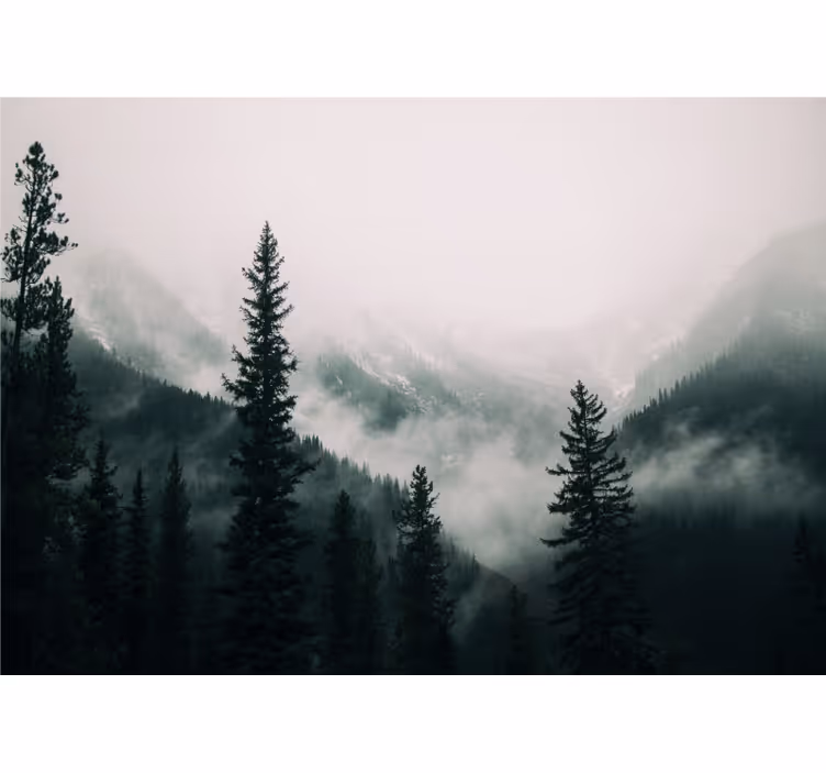 fototapety na stenu les hmlistá horská krajina - Tenstickers