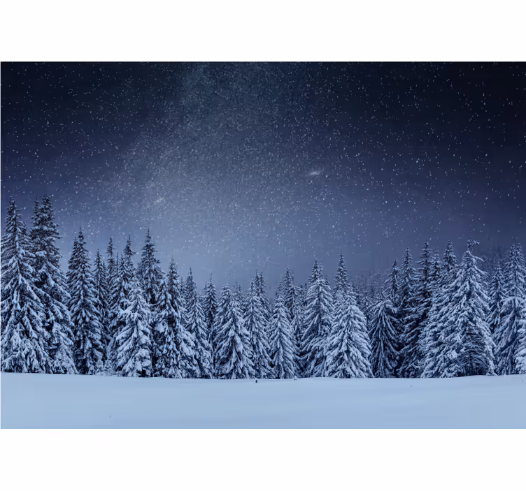 fototapety na stenu priroda zasnežená borovicová krajina - Tenstickers