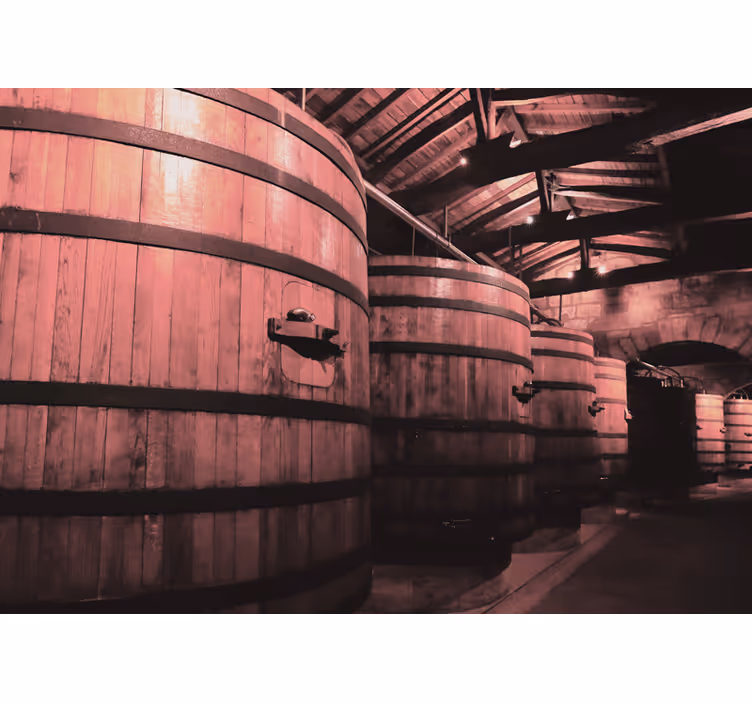 Veľké staré sudy na víno vinobranie fototapeta - Tenstickers