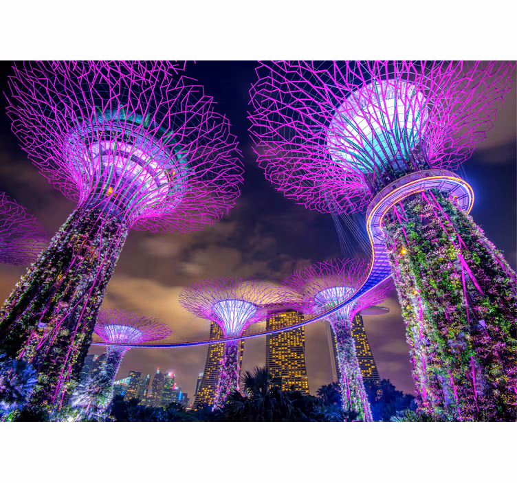 Krásne svetlá v singapure fototapeta - Tenstickers