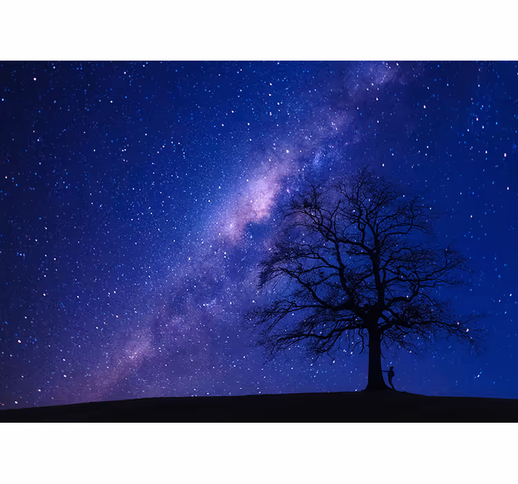 fototapety vesmír astrálny nočný pohľad - Tenstickers