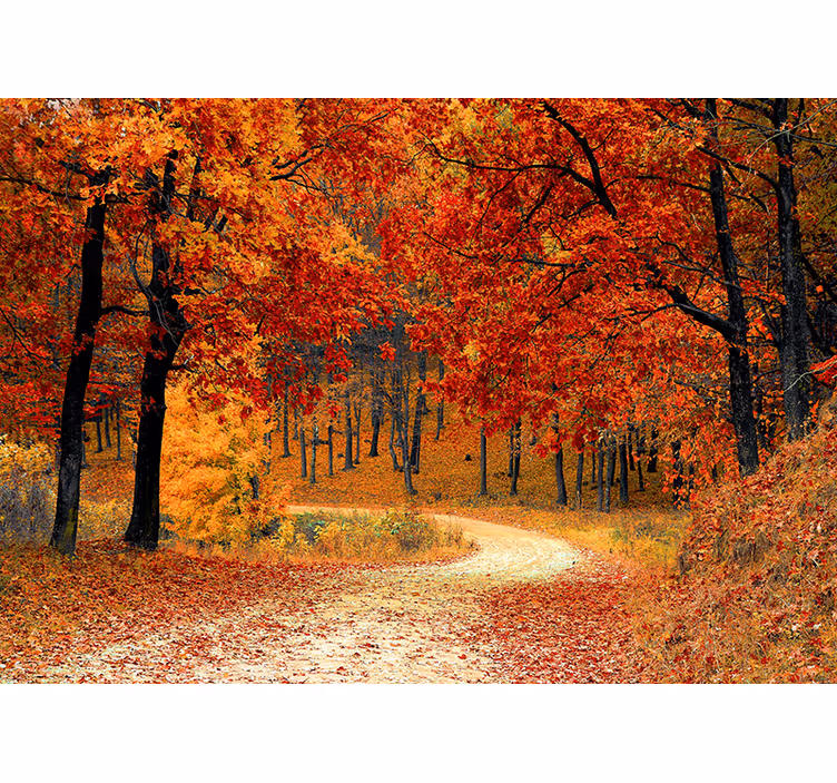 Tunel stromov príroda fototapeta - Tenstickers