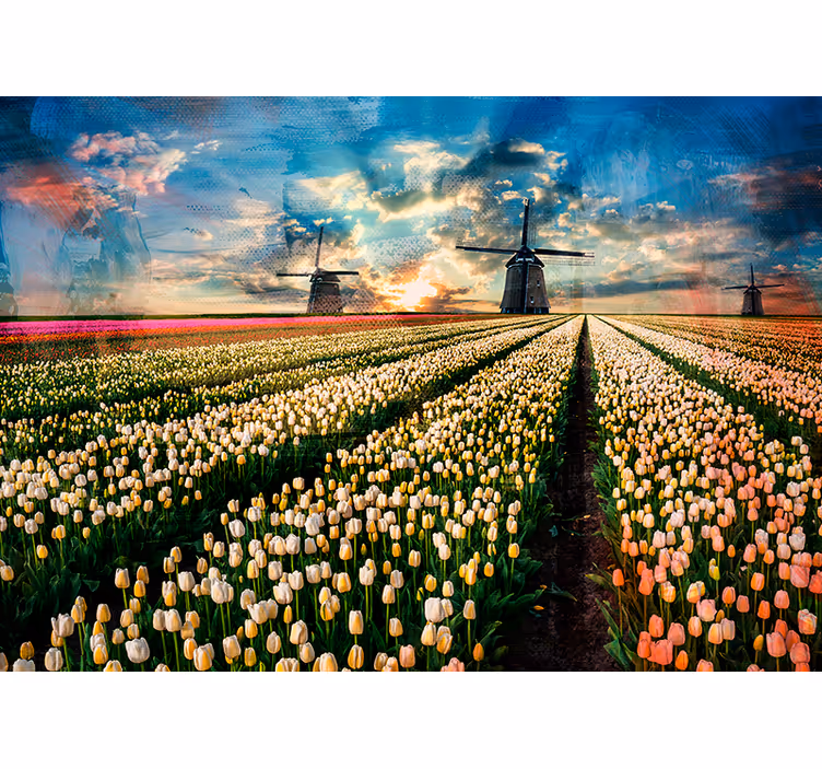 fototapeta kvety východ slnka na tulipánovom poli - Tenstickers