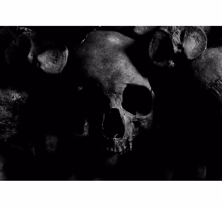 moderne fototapety tmavý vzor lebky - Tenstickers