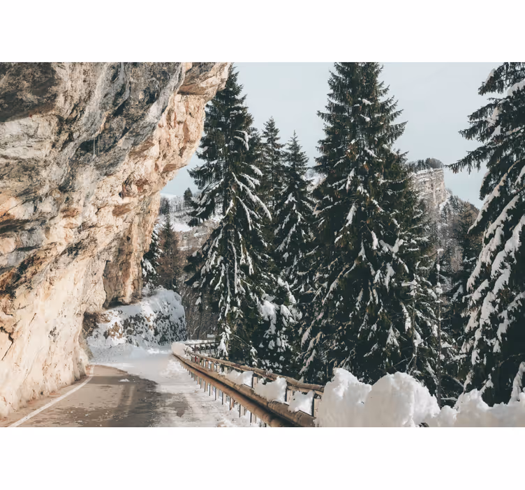 krajinka fototapety zimná borovicová scenéria - Tenstickers