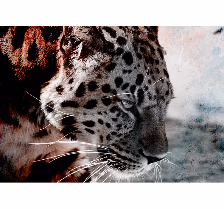čierny a biely leopard fototapeta - Tenstickers
