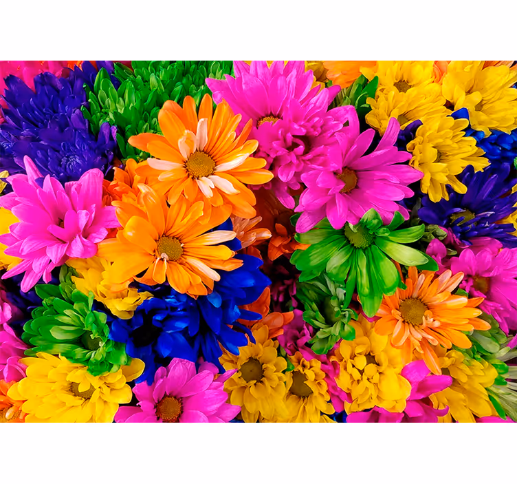 Fototapeta kvety farebné botanické usporiadanie - Tenstickers