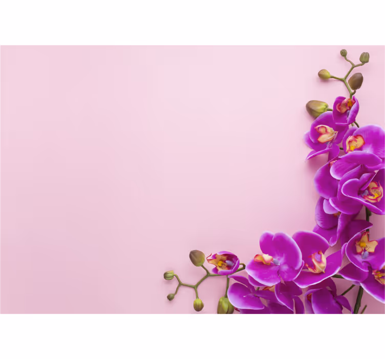 Fototapeta orchidea kvetinová kompozícia - Tenstickers
