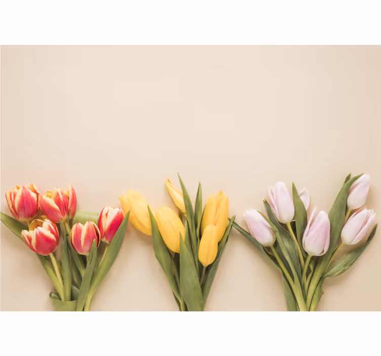Fototapeta kvety farebná aranáž tulipánov - Tenstickers