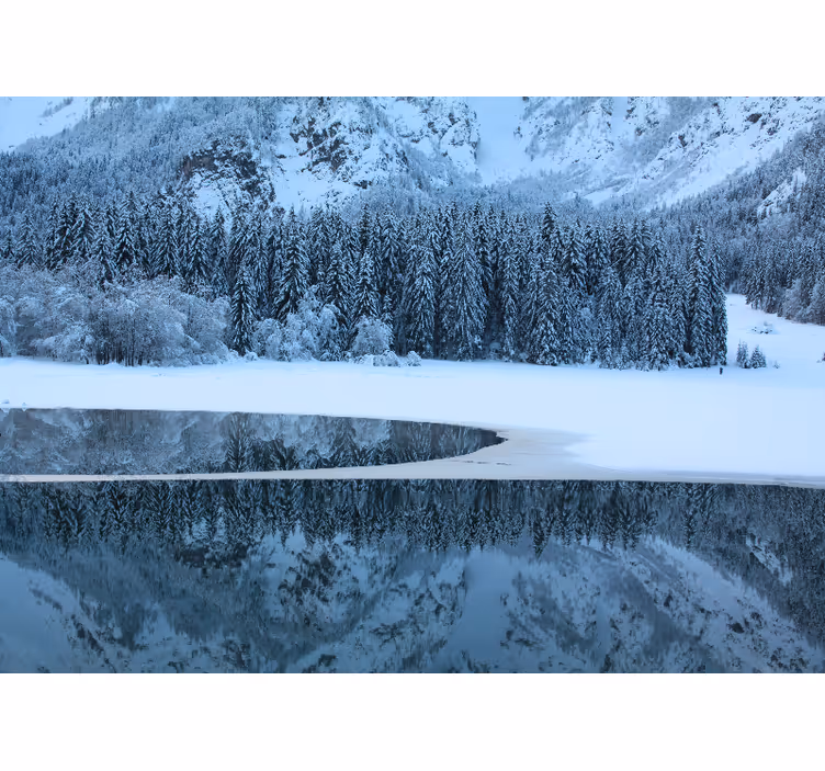 Krajinka fototapety pokojná zimná krajina - Tenstickers