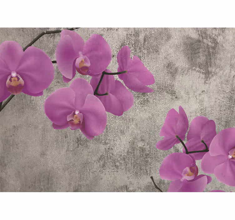 Fototapeta kvety ružové orchideové kvety - Tenstickers