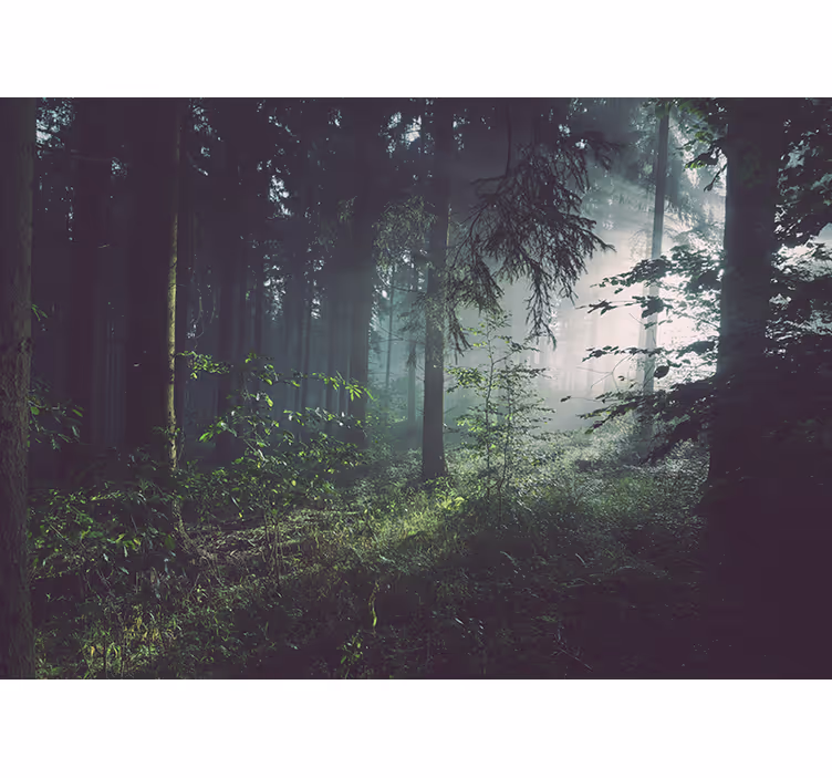 Fototapety na stenu priroda zelené lesné krajiny - Tenstickers