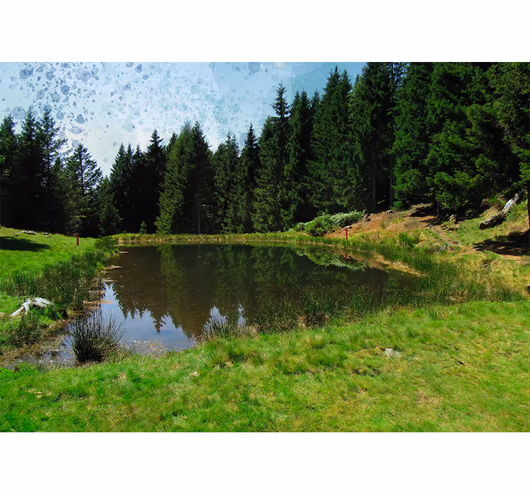 Krajinka fototapety pokojný pohľad na les - Tenstickers
