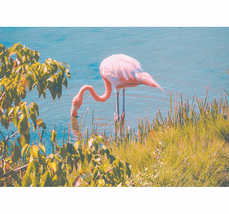 fototapety so zvieratami pokoj ružového plameniaka - Tenstickers