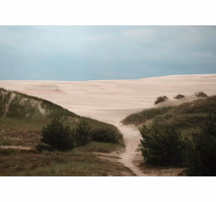 Krajinka fototapety cesta piesočných dún - Tenstickers