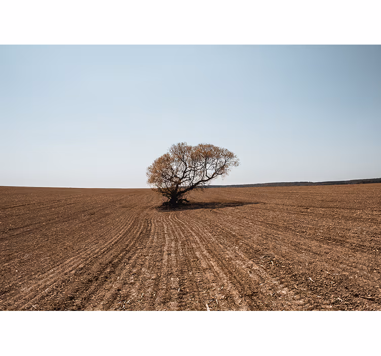 Fototapety na stenu priroda osamelý strom v krajine - Tenstickers